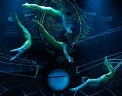 Выступление артистов «Cirque Du Soleil» на шоу «Zarkana» в Москве. Фото: AP