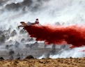 Тушение ежегодных пожаров в Неваде. Фото: AP
