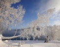  Reuters