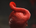  Reuters
