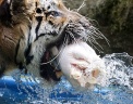  Reuters