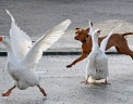  Reuters