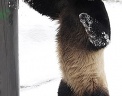  Reuters