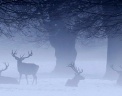  Reuters