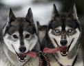  Reuters