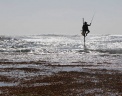  Reuters
