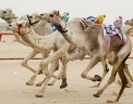  Reuters