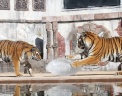 Reuters Reuters