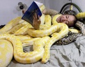  Reuters