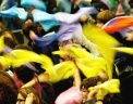  Reuters