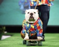  Reuters