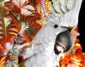  Reuters
