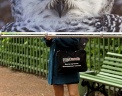 Ежегодная фотовыставка под открытым небом проходит в Летнем саду  Санкт–Петербурга. Выставка состоит из 60 фотографий животных и птиц, занесенных в Красную книгу России, и приурочена к Международному дню биологического разнообразия. Фото: Reuters