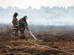 Торфяные и лесные пожары уронили покупательских спрос на загородную недвижимость  на востоке Подмосковья. Фото: РИА Новости