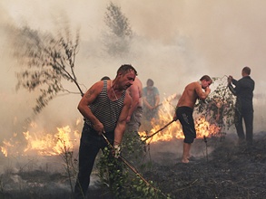 По данным МЧС на середину пятницы, было зафиксировано 799 очагов природных пожаров. Фото: РИА Новости