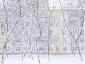  SashaTikhonov/flickr.com