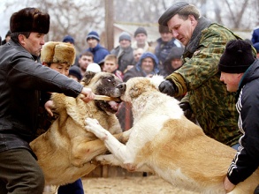  Reuters