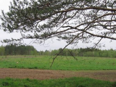 Земельный участок. Фото: toropets-land.ru