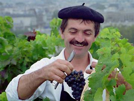 vino-1.jpg