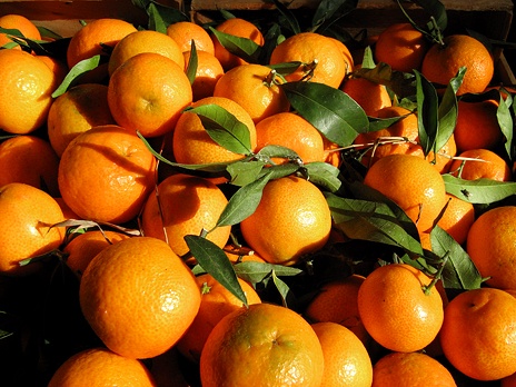 http://m1.bfm.ru/news/maindocumentphoto/2012/01/11/apelsin_1.jpg
