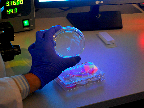 Пока принтер в процессе сборки, ученые работают над биоматериалом. Фото: пресс-службы «3D Bioprinting Solutions»
