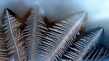 Фото: photoholic1/flickr.com