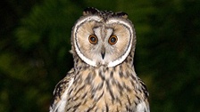 Фото: apalca/flickr.com