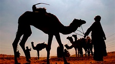 Фото: AP