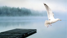 Фото: majorbrighton/flickr.com