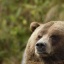 Омс втб 24 котировка