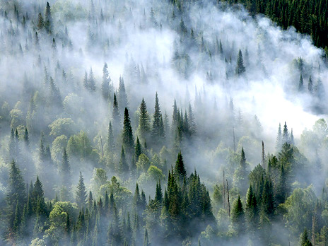 http://m1.bfm.ru/news/maindocumentphoto/2011/07/05/lyesnyye-pozhary-3_1.jpg